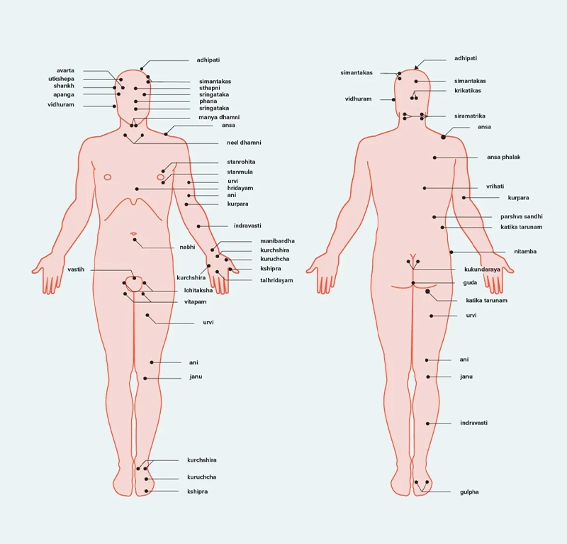 Marma Chikitsa Points