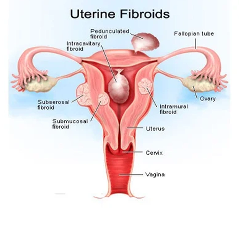 Sakhi Women's Healthcare Clinic