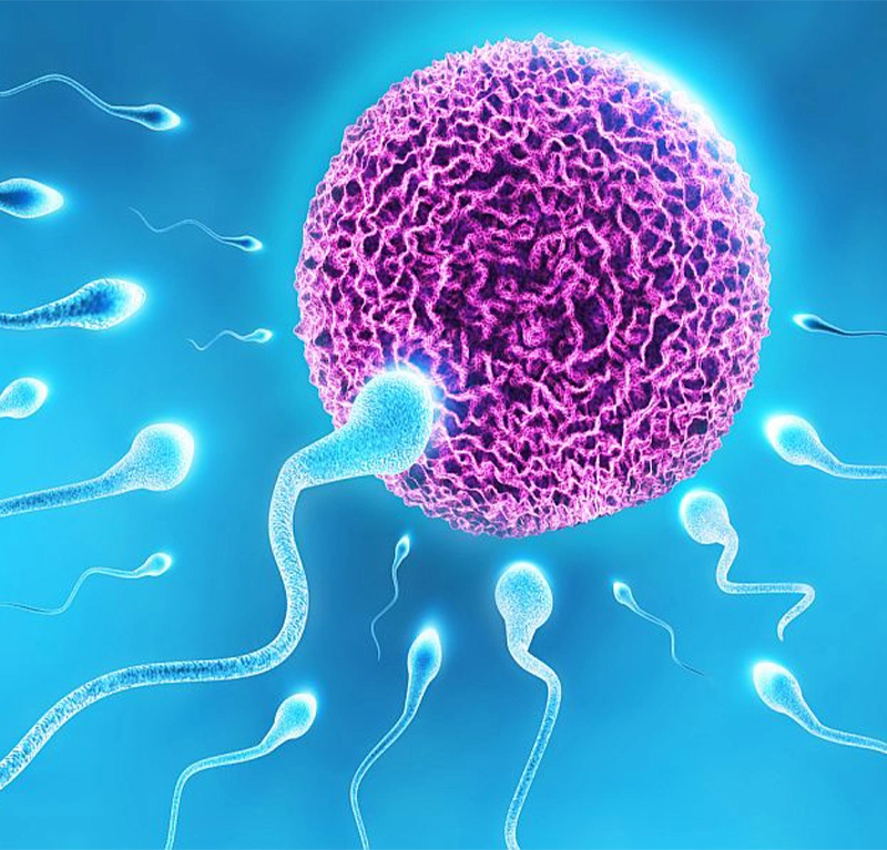 Sakhi Women's Healthcare Clinic