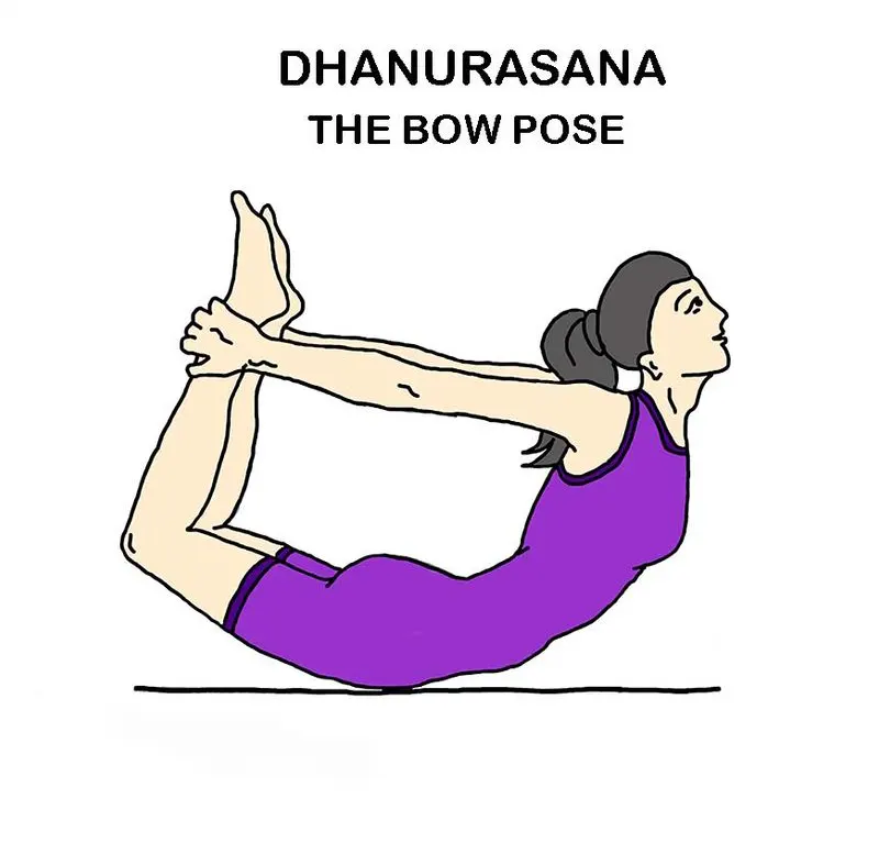 Yoga Therapy - Dhanurasana